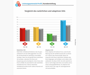 Glueckblick Beispielseite Innermetrix